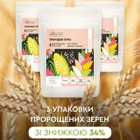 Зерно - символ життя Зерно - символ життя